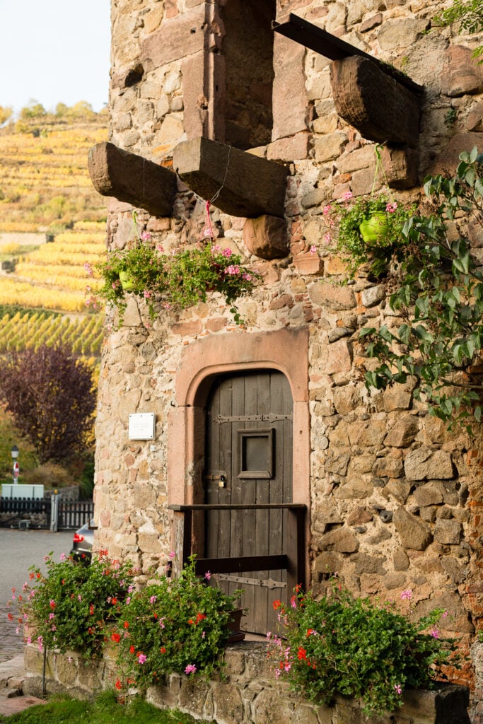 Old stone tower with a wooden door and flowers beside the vineyards in Kaysersberg
