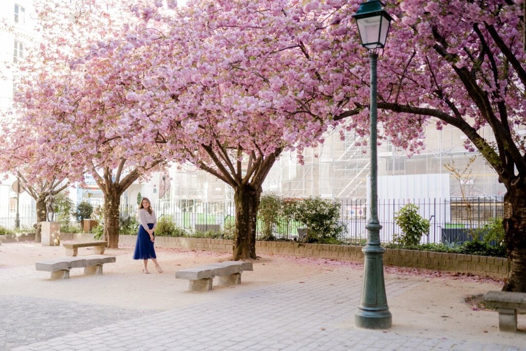 Solo portrait of woman with spring blossoms at Paris park by Katie Donnelly Photography