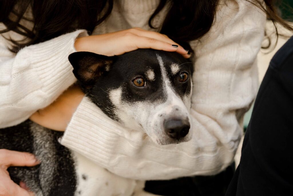 Portrait of woman holding Pet in Paris by Katie Donnelly Photography
