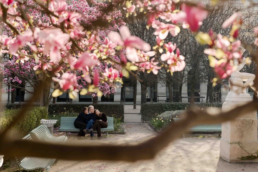 Portrait of family sitting in park during Spring flower blossoms in Paris: magnolias by Katie Donnelly Photography