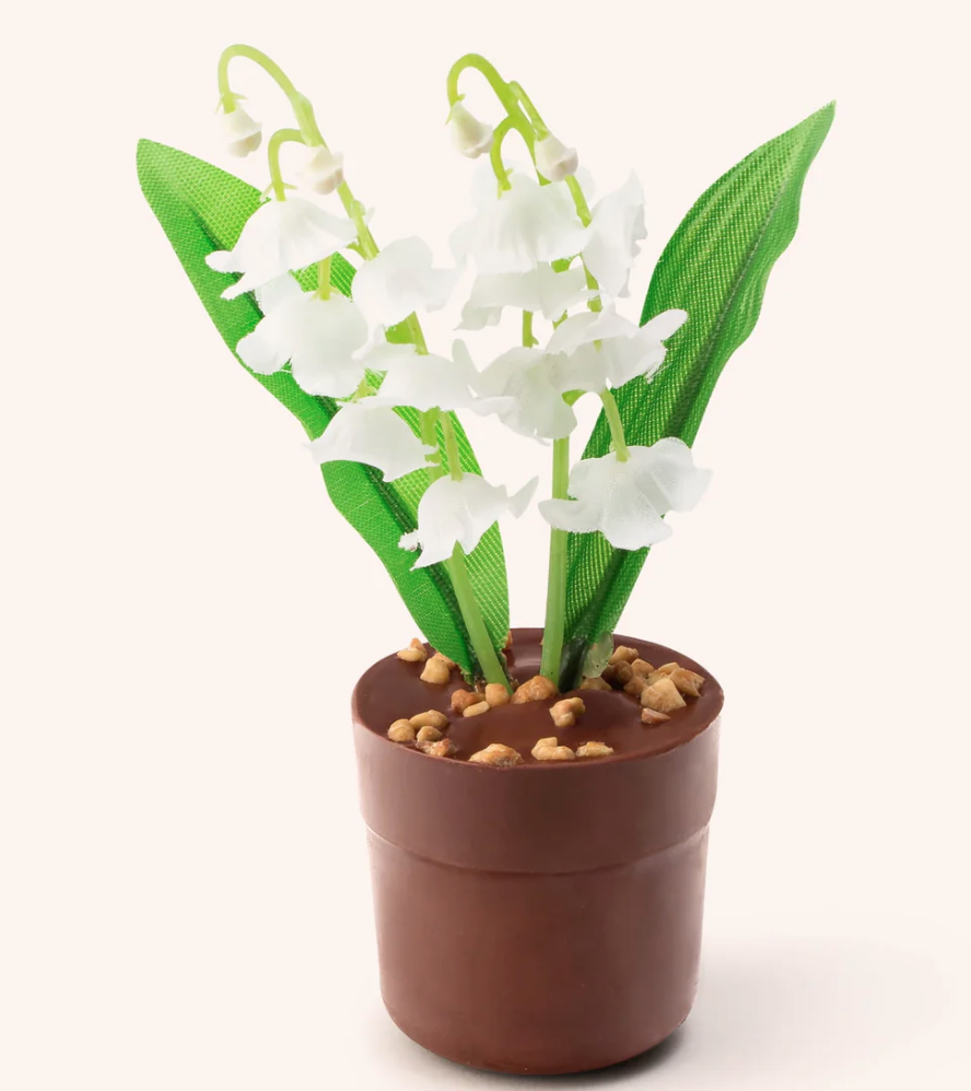 Picture of limited edition chocolate lily of the valley product from A La Mere de Famille in Paris: May 1st La Fête du Muguet