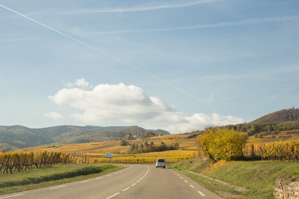 Road winding through golden autumn vineyards on the Alsace wine route in France