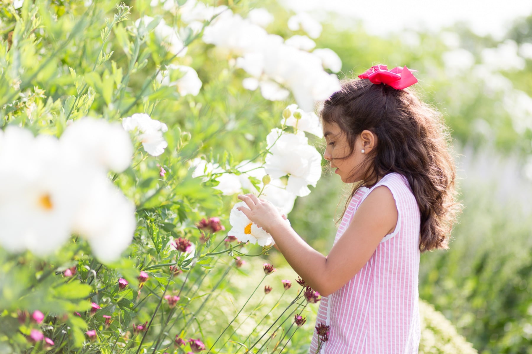 Photography Tips for Beginners: What Is Aperture?