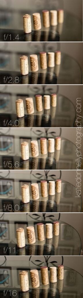 Comparison strip of the same scene photographed at different apertures, showing how the background blur changes