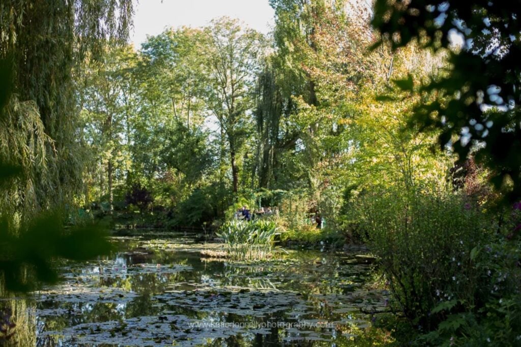 Water lily pond framed by weeping willows in Monet's water garden in Giverny