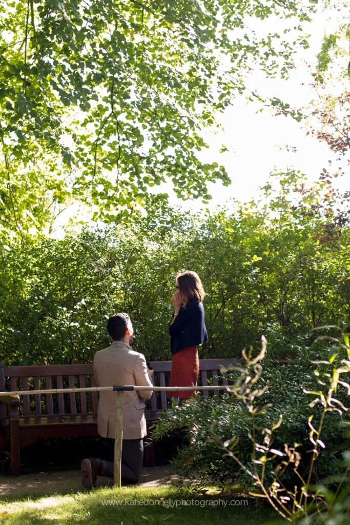Man down on one knee proposing beside a bench in Monet's garden in Giverny