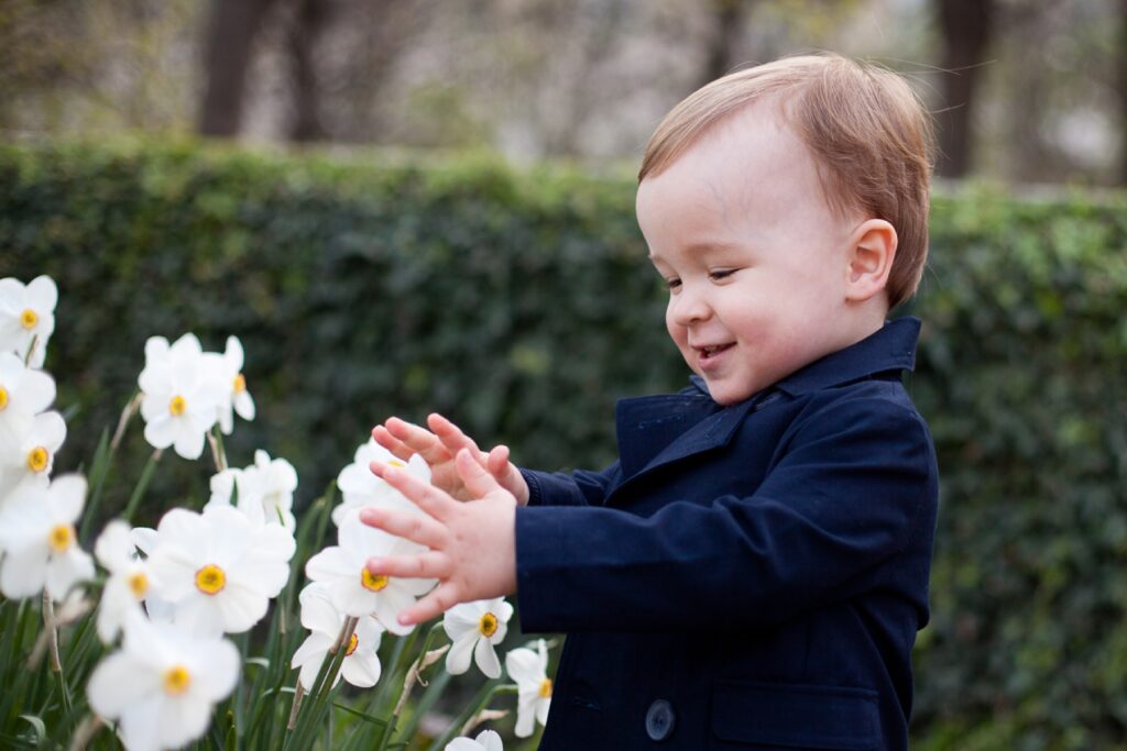 Toddler boy touching white daffodils in the gardens of the Palais Royal