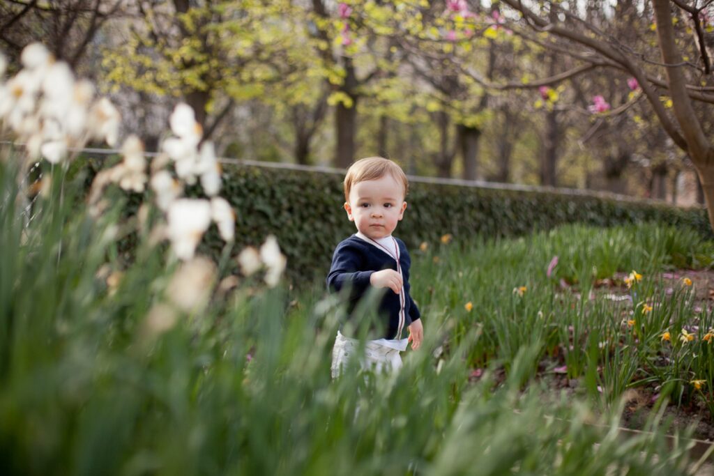Toddler boy standing among spring flowers in the Palais Royal gardens